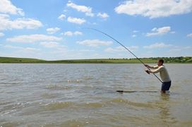 Sarulesti - Mai 2013